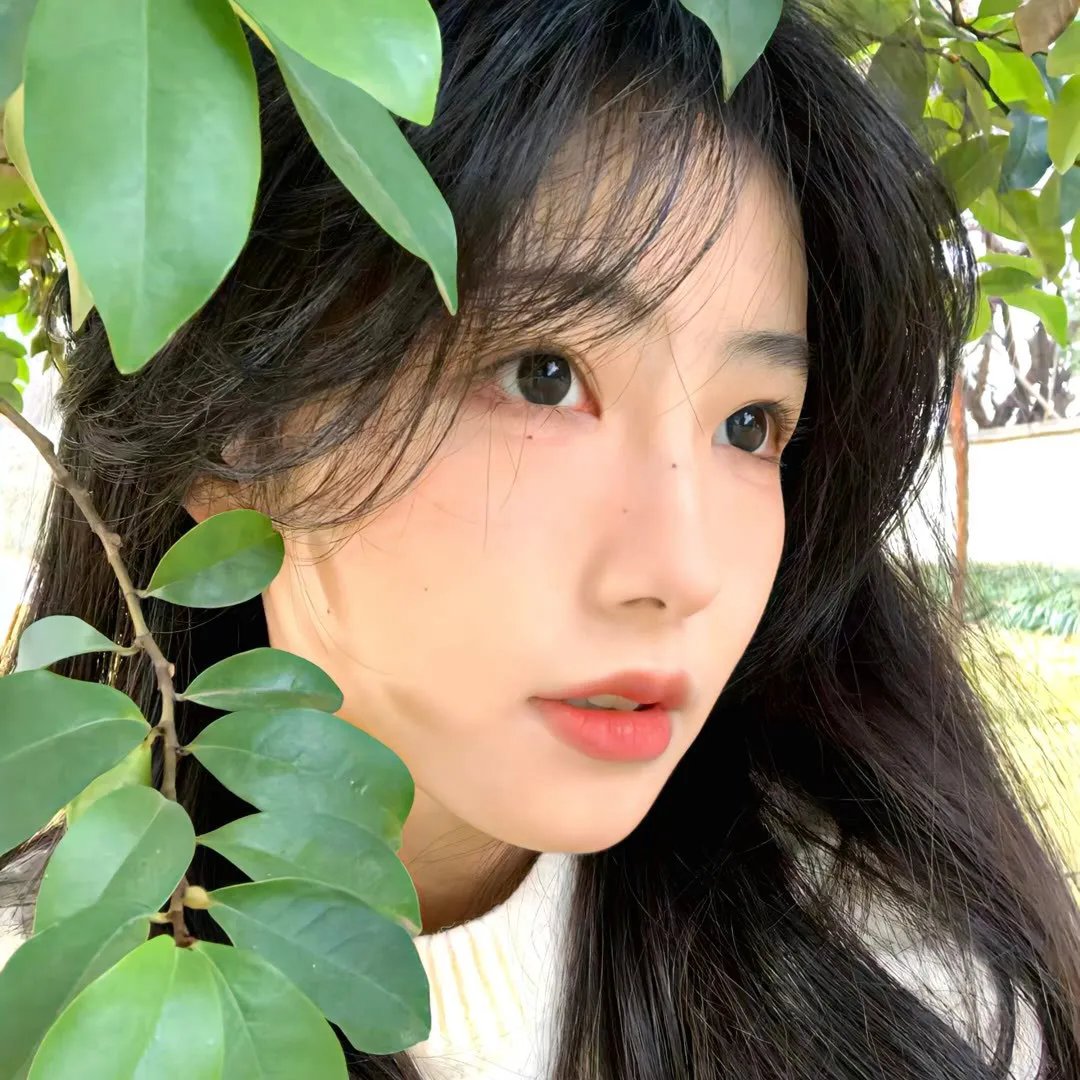 喋血满洲